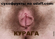 Курага.jpg