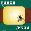 Бляха муха.jpg