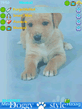 Screenshot0073.jpg