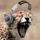 63548x40.gif