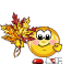 b02045.gif