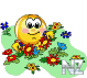 b02061.gif