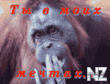Img05DD.gif