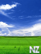 vista2.jpg