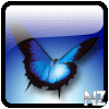 Butterfly1.gif