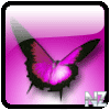 Butterfly2.gif