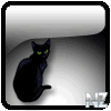 Cat.gif