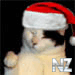 KITTYcopy.jpg