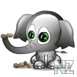 b06011.gif