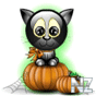 b06012.gif