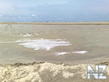03062008092.jpg