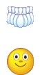 b07020.gif