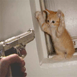 HandsUp2.jpg