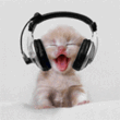 cat_.gif