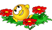 b07062.gif