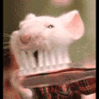 Brusher.gif