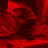 lpu2.png