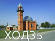 DSC00313.jpg