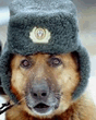 3podborka228wu.jpg