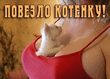 133.jpg