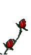 cb1f3857d1ecf.gif