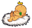 animalsbaby0002rt.gif