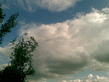 02072008_005_.jpg