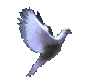 1266084.gif
