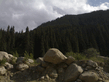 06072008151.jpg