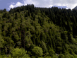06072008076.jpg