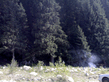 06072008098.jpg