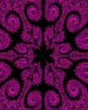 Purple.jpg