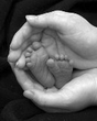 Baby_Feet.jpg