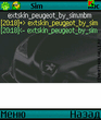 extskin_peugeot_by_sim0290.jpg