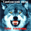 WOLF_1_.jpg