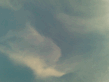 04082008_003_.jpg