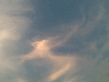 04082008_005_.jpg