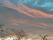 21072007_001_.jpg