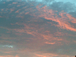 21072007_003_.jpg