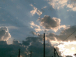 28072008_003_.jpg