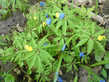 DSC00830.jpg