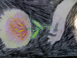 15082008635.jpg