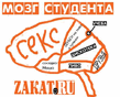 Мозг_.jpg