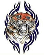 Tiger.jpg
