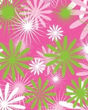 Pink000.jpg