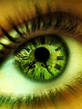 the_eye_303.jpg