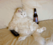 128.gif