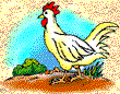 chicken1.gif