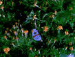 03092008_013_.jpg