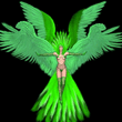 emerald_butterfly.jpeg